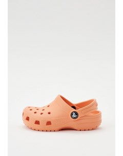 Сабо Crocs