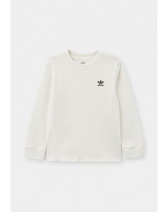 Лонгслив Adidas originals