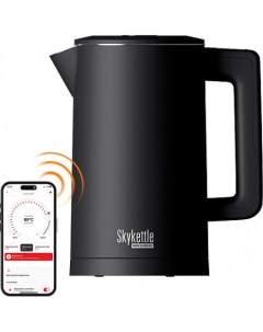 Электрический чайник SkyKettle KM231S (черный) Redmond