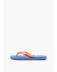 Сланцы Havaianas