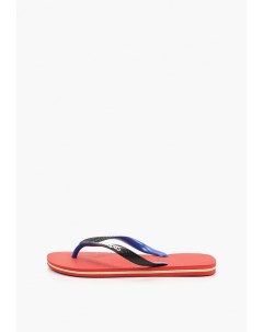 Сланцы Havaianas