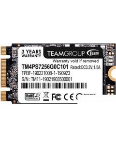 SSD MS30 256GB TM4PS7256G0C101 Team