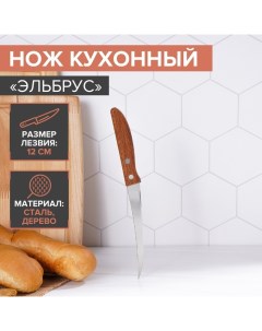 Нож кухонный для цитрусовых Эльбрус лезвие 12 см Доляна