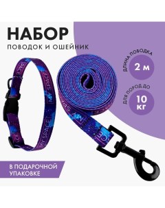 Набор MY SPACE застёжка фастекс поводок 2 м и ошейник 28 46 см Пушистое счастье