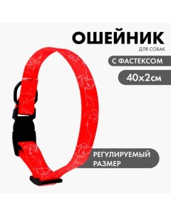 Ошейник One line застёжка фастекс 2 см 25 40 см Пушистое счастье