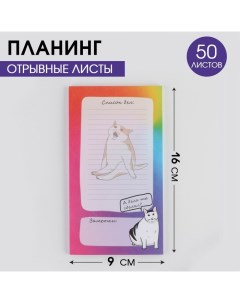 Планинг с отрывными листами Кот 100х180 мм 50 листов Artfox