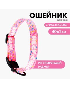 Ошейник «Несу счастье», застёжка - фастекс, 2 см 25-40 см Пушистое счастье