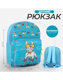 Рюкзак детский для девочки с карманом Пёс в кедах 30 х 22 х 10 см Nazamok kids