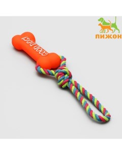 Игрушка резиновая "Кость" (14 см) с ручкой из каната для собак, до 37 см, микс цветов Пижон