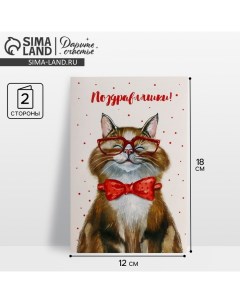 Открытка «Поздравляю», добрый кот, 12 ? 18 см Дарите счастье