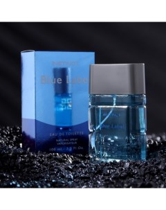 Туалетная вода мужская Blue Label, 100 мл (по мотивам Blue Label (Givenchy) Instinct