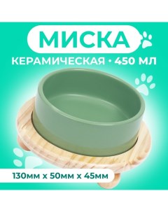 Миска керамическая на подставке 450 мл 13 х 5 см, серозеленая Пижон