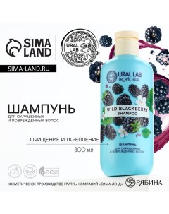 Шампунь для волос очищение и укрепление 300 мл аромат ежевики TROPIC BAR by Ural lab