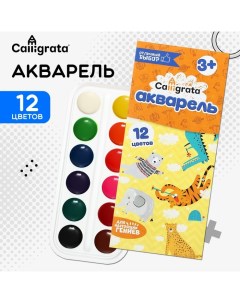 Акварель 12 цветов без кисти картон Calligrata