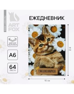 Ежедневник А6, 64 л. «Котёнок» Artfox