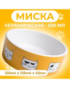 Миска керамическая "Опасные коты" 230 мл 12,5 x 4,5 cм, бело-оранжевая Пижон