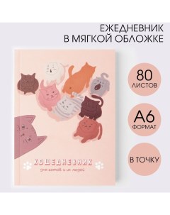 Ежедневник в мягкой обложке «Кошедневник», А6, 80 листов Artfox