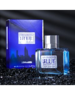 Туалетная вода мужская RM San Francisco Blue, 100 мл Vero uomo