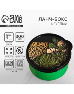 Ланч бокс Джунгли 300 мл Foodvibes