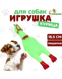 Игрушка пищащая "Задумчивая курица" малая для собак, 16,5 см, ярко-зелёная Пижон