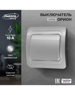 Выключатель Орион 10 А 1 клавиша скрытый серебристый Luazon lighting