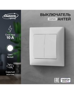 Выключатель Антей 10 А 2 клавиши скрытый белый Luazon lighting