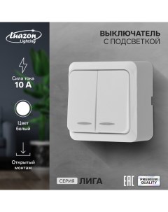 Выключатель Лига 10 А 2 клавиши накладной c подсветкой белый Luazon lighting