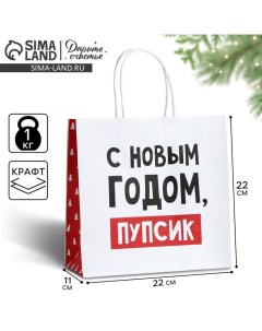 Пакет подарочный новогодний «С Новым годом, пупсик», 22 х 22 х 11 см Дарите счастье