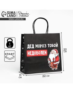 Пакет подарочный новогодний «Подарок, который ты заслужил», 22 х 22 х 11 см Дарите счастье