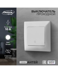 Выключатель проходной Антей 10 А 1 клавиша скрытый белый Luazon lighting