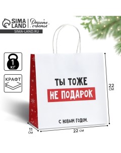 Пакет подарочный новогодний «Ты тоже не подарок», 22 х 22 х 11 см Дарите счастье