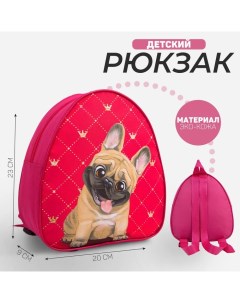 Рюкзак детский для девочки Собака 23х20 5 см отдел на молнии Nazamok kids