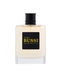 Туалетная вода мужская Sent BUSSI, 100 мл Neo parfum