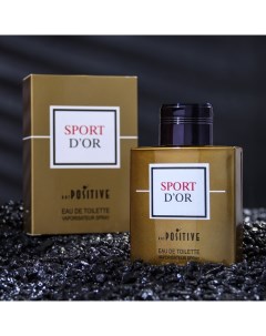 Туалетная вода мужская SPORT D'OR, 90 мл Positive parfum