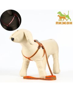 Комплект светоотражающий "Косточки", ошейник 120 х 1 см, ОШ 24-40 см, ОГ 24-40 см оранжевый Пижон