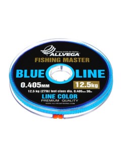 Леска монофильная Fishing Master, диаметр 0.405 мм, тест 12.5 кг, 30 м, голубая Allvega