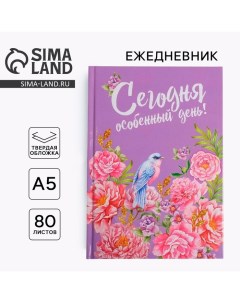 Ежедневник "Сегодня особенный день", твёрдая обложка, А5, 80 листов Artfox