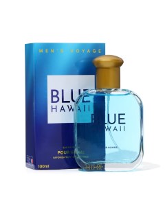 Парфюмерная вода мужская Men s Voyage Blue Hawaii 100 мл по мотивам Blue Seduction A Banderas Delta parfum