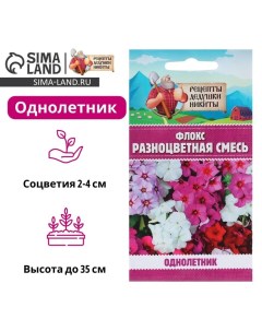 Семена цветов Флокс "Разноцветная смесь", 0,1 г Рецепты дедушки никиты