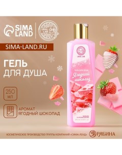 Гель для душа 250 мл аромат ягодного шоколада AROMA SOUND by Ural lab