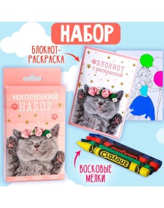 Подарочный набор блокнот - раскраска, мелки 4 шт. «Кошка» Artfox