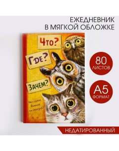 Ежедневник "Что? Где? Зачем?", А5, 80 листов Artfox