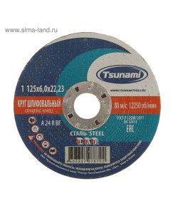 Круг зачистной по металлу A24 R BF Pg, 125 х 22 х 6 мм Tsunami