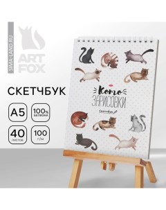 Скетчбук «Кот» А5, 40 л, 100 г/м Artfox