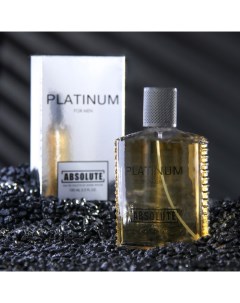 Туалетная вода мужская Absolute Platinum 100 мл по мотивам Egoiste Platinum Chanel Today parfum