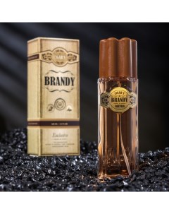 Туалетная вода мужская Sigar s Brandy 100 мл по мотивам Whisky Today parfum