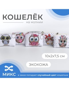 Кошелёк на молнии цвет МИКС Выбражулька