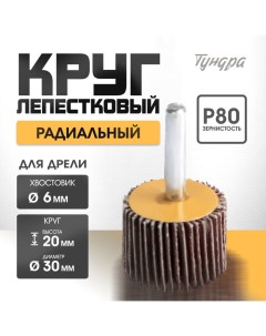 Круг лепестковый радиальный, 30 х 20 х 6 мм, Р80 Tundra