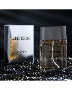 Туалетная вода мужская Emperor Siver 100 мл по мотивам Egoiste Platinum Chanel Today parfum