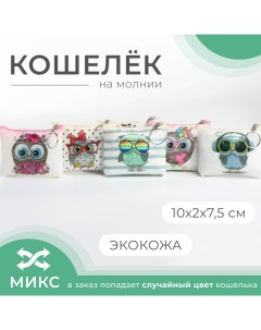 Кошелёк на молнии цвет МИКС Выбражулька